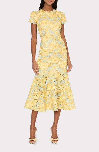 Milly Milly Tahlia Floral Lace Dress