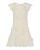 Milly Women's Myla 3D Floral-Embroidered Minidress - 1