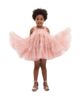 Mimi Tutu Mimi Tutu Isoldea Tulle Ruffle Dress - 4