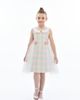 Mimi Tutu Mimi Tutu Spring Gingham Tulle Dress - 1