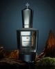 MIND GAMES MIND GAMES Checkmate - Silver King Extrait de Parfum - 2