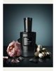 MIND GAMES Perfumer Extraordinaire Kingside Extrait de Parfum, 3.4 oz. - 5