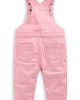 Mini Boden Mini Boden Kids' Stripe Overalls - 2