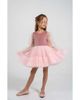 Mini Celebrities Mini Celebrities Grace' Balloon Sleeve Velvet Tulle Dress - 1