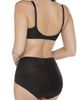 Miraclesuit® Miraclesuit® Assorted 2-Pack Light Shaping Briefs - 5