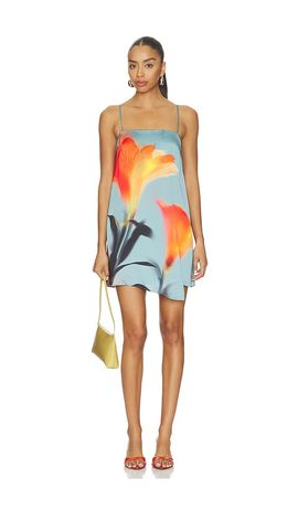 Sho Dress