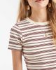 Miss Selfridge Miss Selfridge baby tee in blue and yellow stripes-Multi - 3