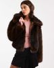 Miss Selfridge Miss Selfridge faux fur collar detail bomber jacket in chocolate-Brown - 1