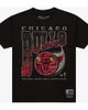 Mitchell & Ness Men's Mitchell & Ness Black Chicago Bulls Ball Out T-Shirt  - 1