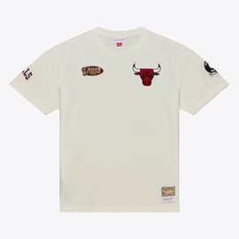 Mitchell & Ness Men's Mitchell & Ness Cream Chicago Bulls Hardwood Classics Chainstitch Premium T-Shirt 