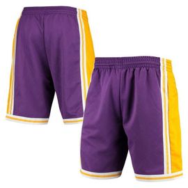 Mitchell & Ness Men's Mitchell & Ness Purple Los Angeles Lakers 1984 Hardwood Classics 75th Anniversary Swingman Shorts 
