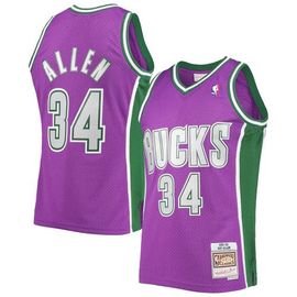 Mitchell & Ness Men's Mitchell & Ness Ray Allen Purple Milwaukee Bucks 2001/02 Hardwood Classics Swingman Jersey 