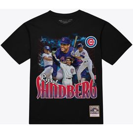 Mitchell & Ness Men's Mitchell & Ness Ryne Sandberg Black Chicago Cubs Legendary Collage Player T-Shirt 