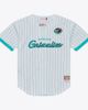 Mitchell & Ness Men's Mitchell & Ness White Memphis Grizzlies Head Coach Pinstripe Mesh Full-Button Baseball Jersey  - 1