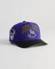 Mitchell & Ness Mitchell & Ness MLB Tampa Bay Rays Pro Snapback Hat in Purple, Men's at Urban Outfitters - 1