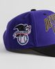 Mitchell & Ness Mitchell & Ness MLB Tampa Bay Rays Pro Snapback Hat in Purple, Men's at Urban Outfitters - 2
