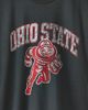 Mitchell & Ness Mitchell & Ness NCAA Ohio State University Logo Graphic Tee in Light Grey, Men's at Urban Outfitters - 2