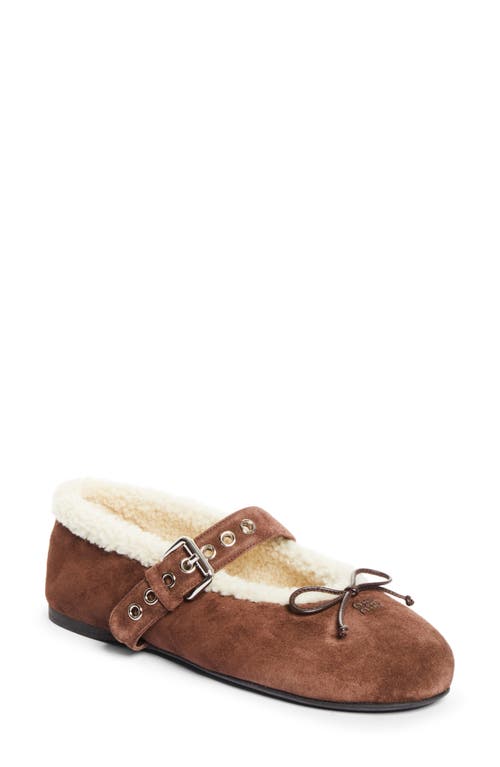 Miu Miu Miu Miu Genuine Shearling Lined Ballet Flat