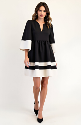 Modenaire Modenaire Fit-and-Flare Contrast Trim V-Neck Cuffed Sleeve Mini Dress