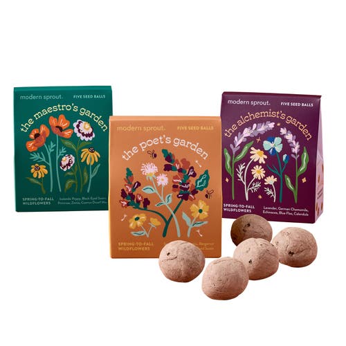 Modern Sprout Modern Sprout Bespoke Bloom 3 pack