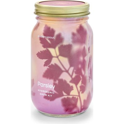 Modern Sprout Modern Sprout Garden Jar