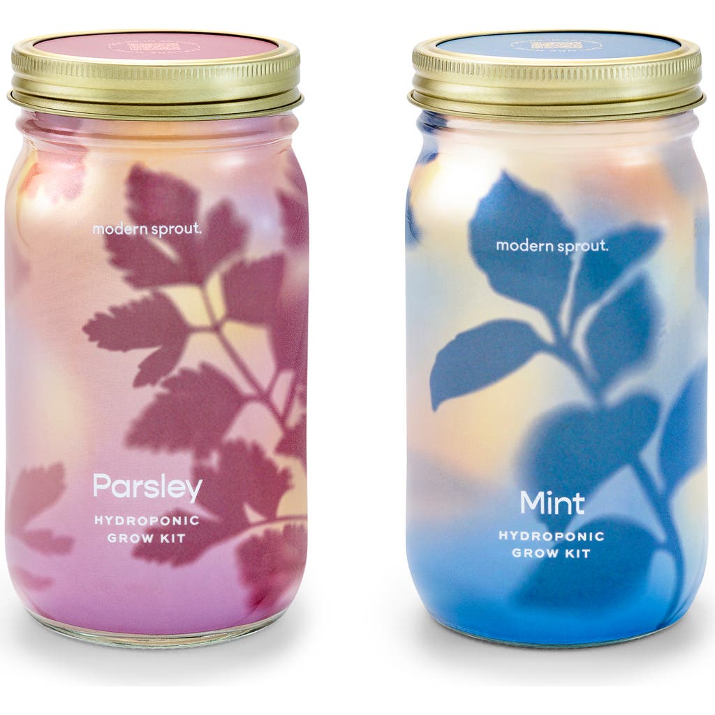 Modern Sprout Modern Sprout Garden Jar 2pk