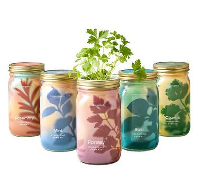 Modern Sprout Modern Sprout Garden Jar 5pk