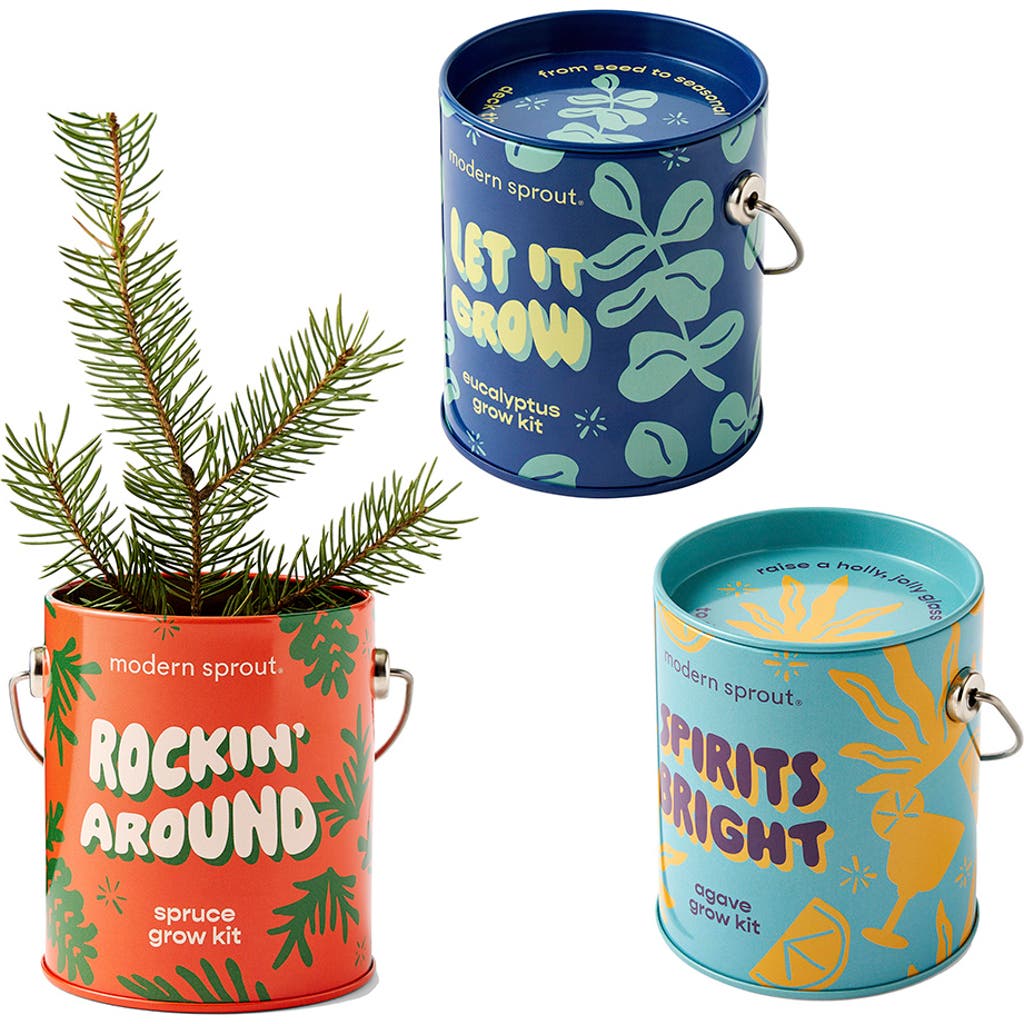 Modern Sprout Modern Sprout Holiday Complimentary Color Grow Kit 3 pack