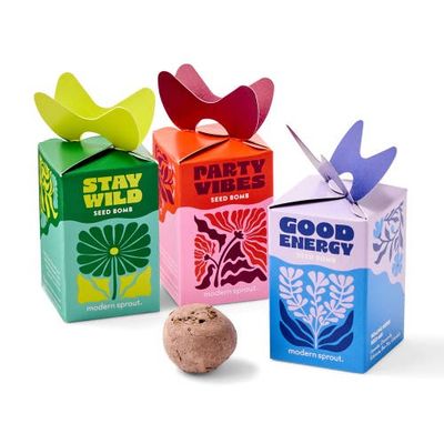 Modern Sprout Modern Sprout Seed Bomb 3 pack mixed
