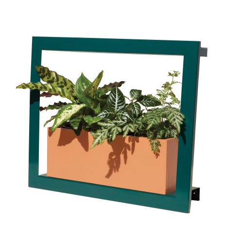 Modern Sprout Modern Sprout Smart Growframe