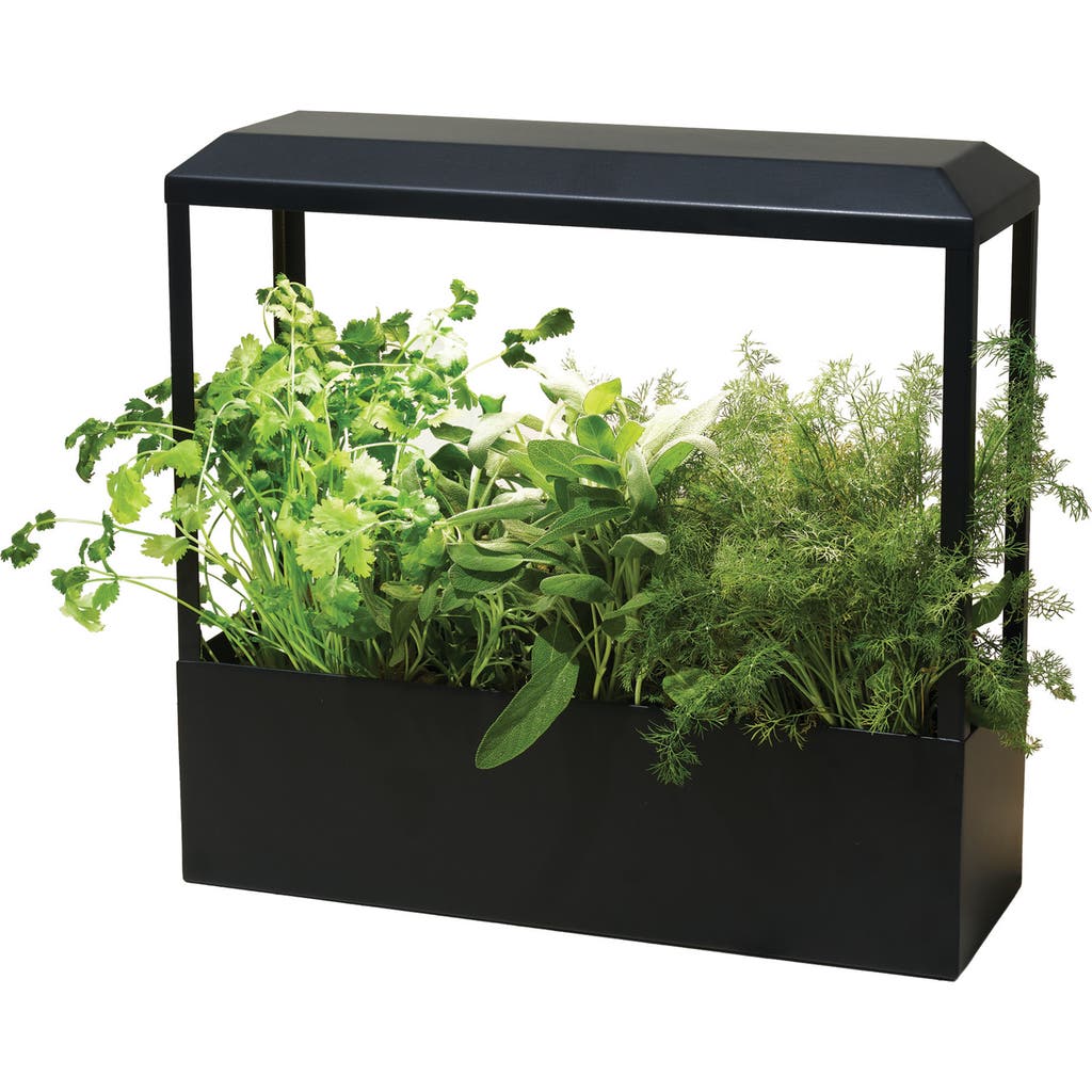 Modern Sprout Modern Sprout Smart Growhouse