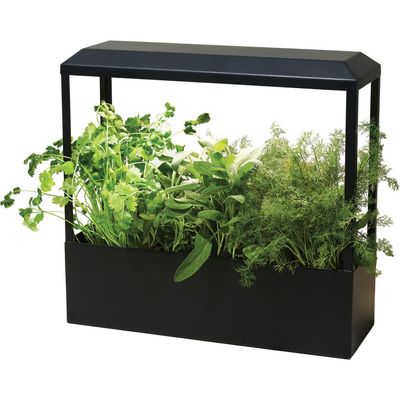 Modern Sprout Modern Sprout Smart Growhouse