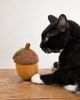 MODERNBEAST MODERNBEAST Acorn Wool Dog Toy - 1