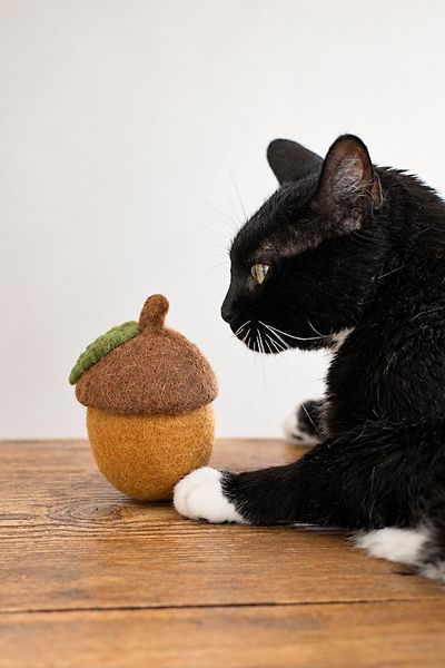 MODERNBEAST MODERNBEAST Acorn Wool Dog Toy