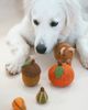 MODERNBEAST MODERNBEAST Acorn Wool Dog Toy - 2