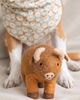 MODERNBEAST MODERNBEAST American Bison Wool Dog Toy - 1