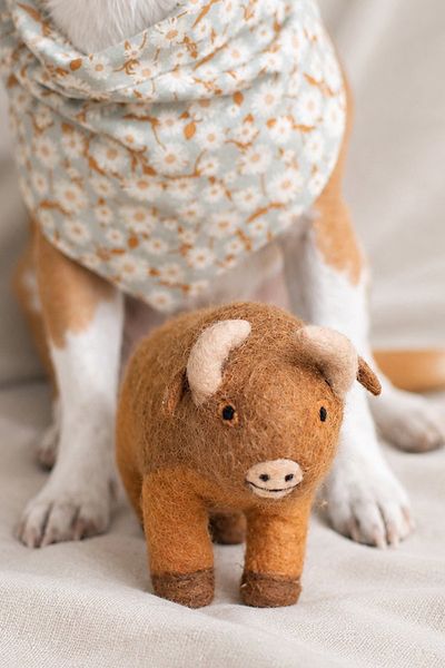 MODERNBEAST MODERNBEAST American Bison Wool Dog Toy