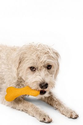 MODERNBEAST MODERNBEAST Classic Woolbone Dog Toy