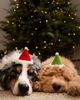 MODERNBEAST MODERNBEAST Holiday Elf Hat - 4