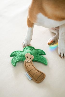 MODERNBEAST MODERNBEAST Palm Tree Dog Toy from HIT Living Foundation