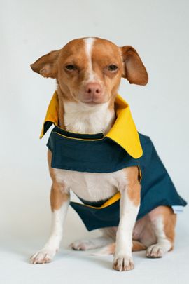 MODERNBEAST MODERNBEAST Reversible Dog Raincoat