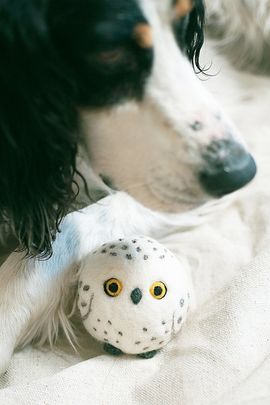 MODERNBEAST MODERNBEAST Snow Owl Beastball Wool Dog Toy