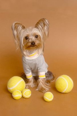 MODERNBEAST MODERNBEAST Tennis Ball Wool Dog Toy