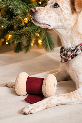 MODERNBEAST MODERNBEAST The Ribbon Roll Enrichment Dog Toy