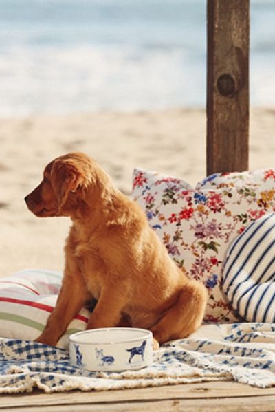 Molly Hatch Stoneware Pet Bowl