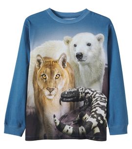 Molo Molo Rube cotton jersey T-shirt