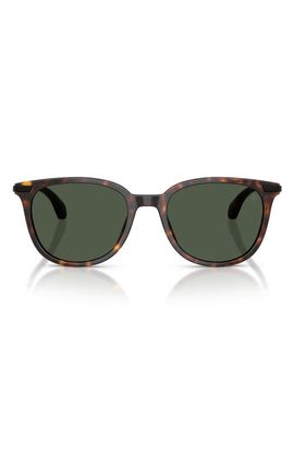 Moncler Moncler Kora 53mm Polarized Oval Sunglasses
