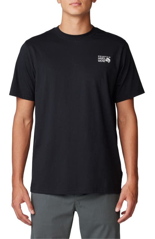 Mountain Hardwear Mountain Hardwear Box Logo Graphic T-Shirt