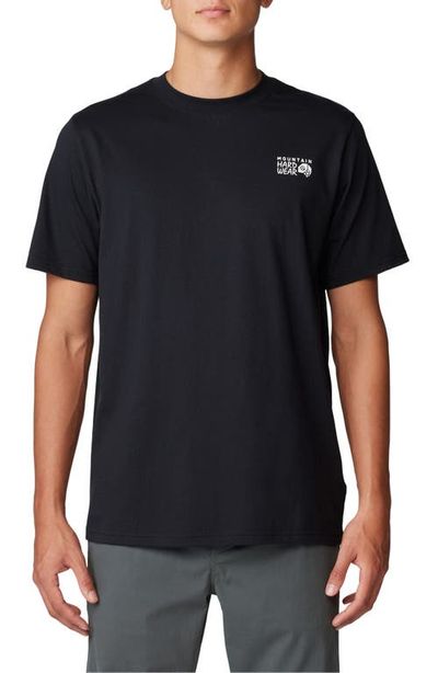 Mountain Hardwear Mountain Hardwear Box Logo Graphic T-Shirt