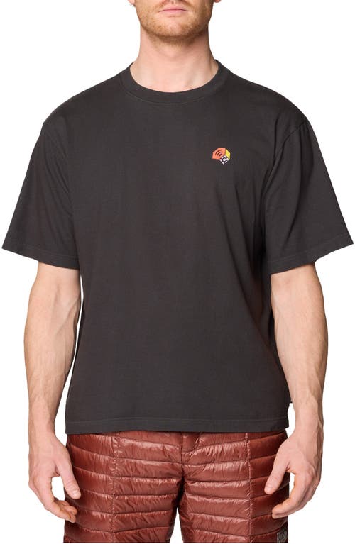 Mountain Hardwear Mountain Hardwear MHW Tri-Color Graphic T-shirt